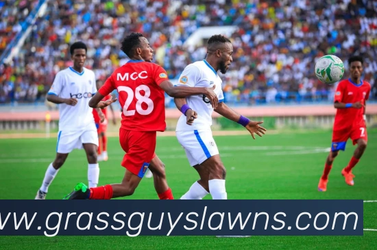 澳门威尼斯人网站平台生态图