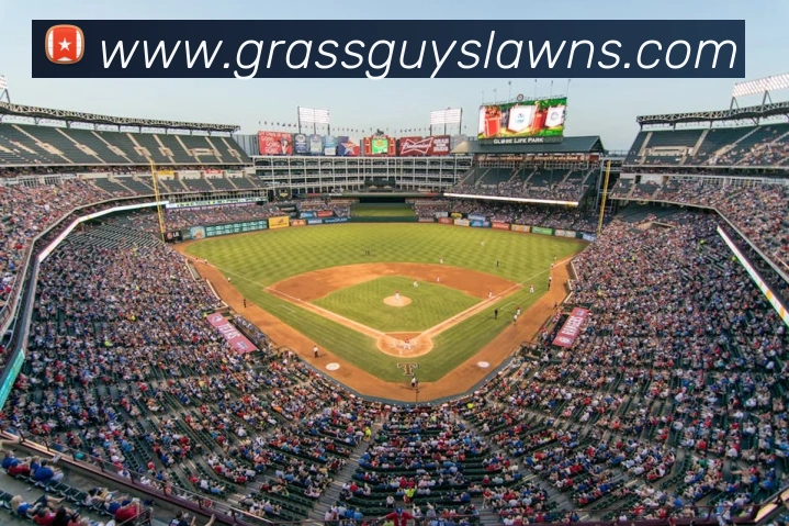 澳门威尼斯人网站全站App